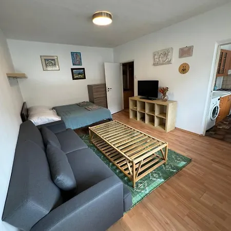Apartment Skau Kutuzovova Free Parking Pressburg